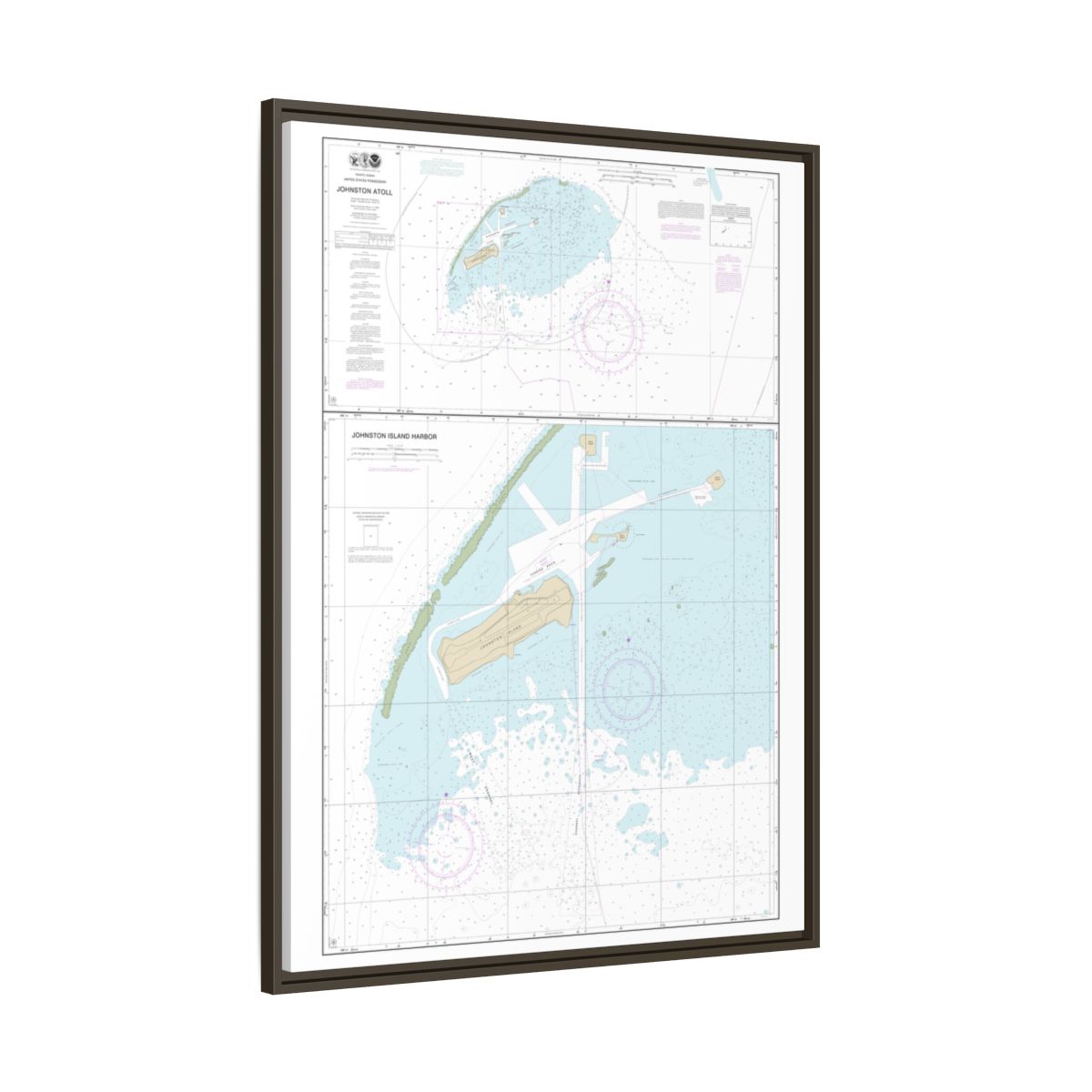 TEST RESYNC — Chart 83637 Johnston Atoll Floating Frame Canvas