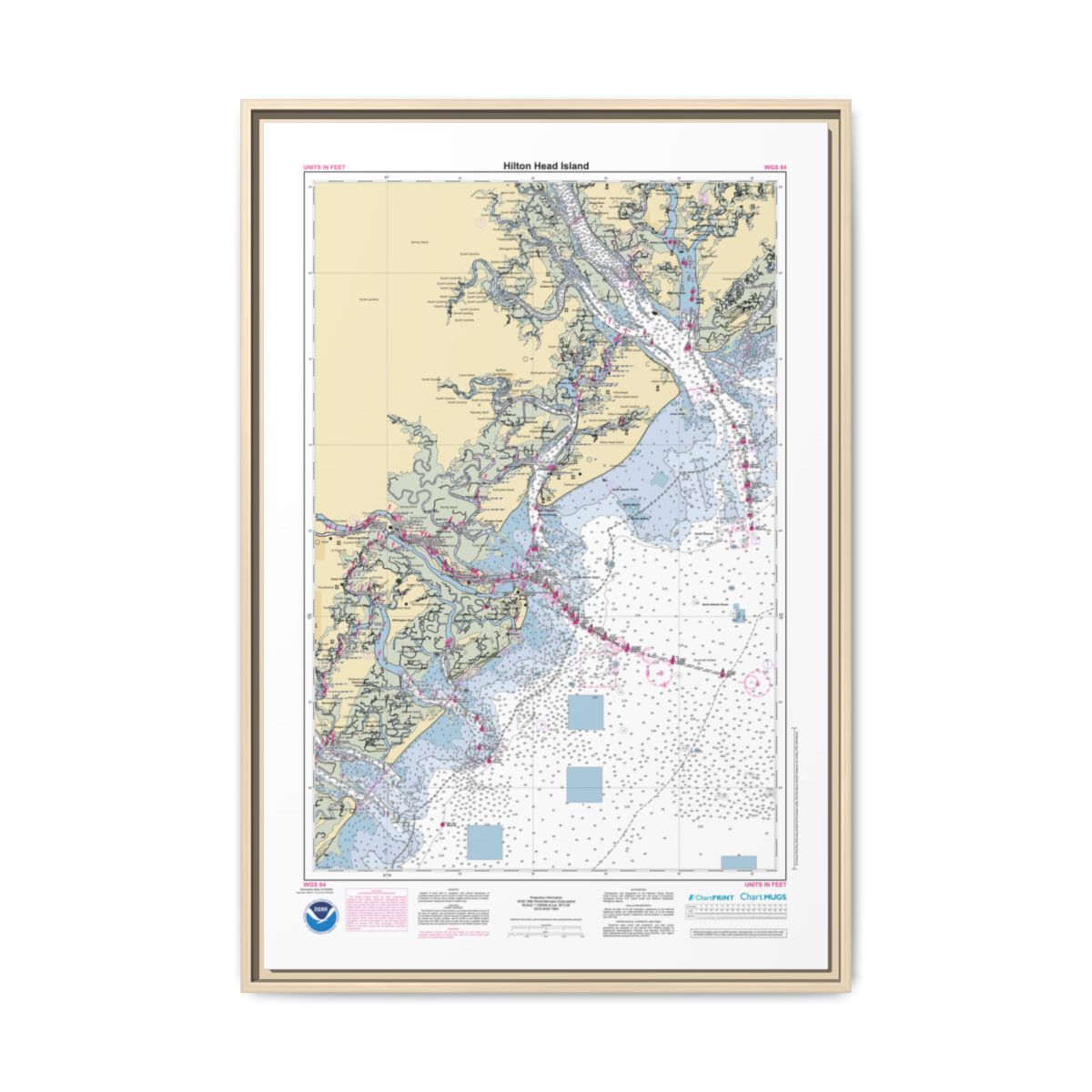 Floating Frame Canvas