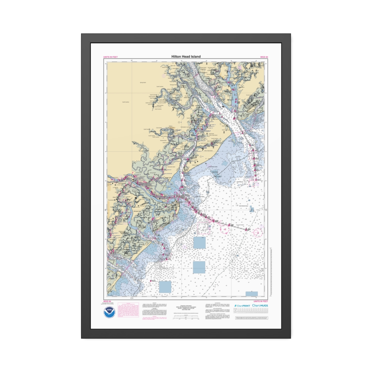 Framed Paper Print