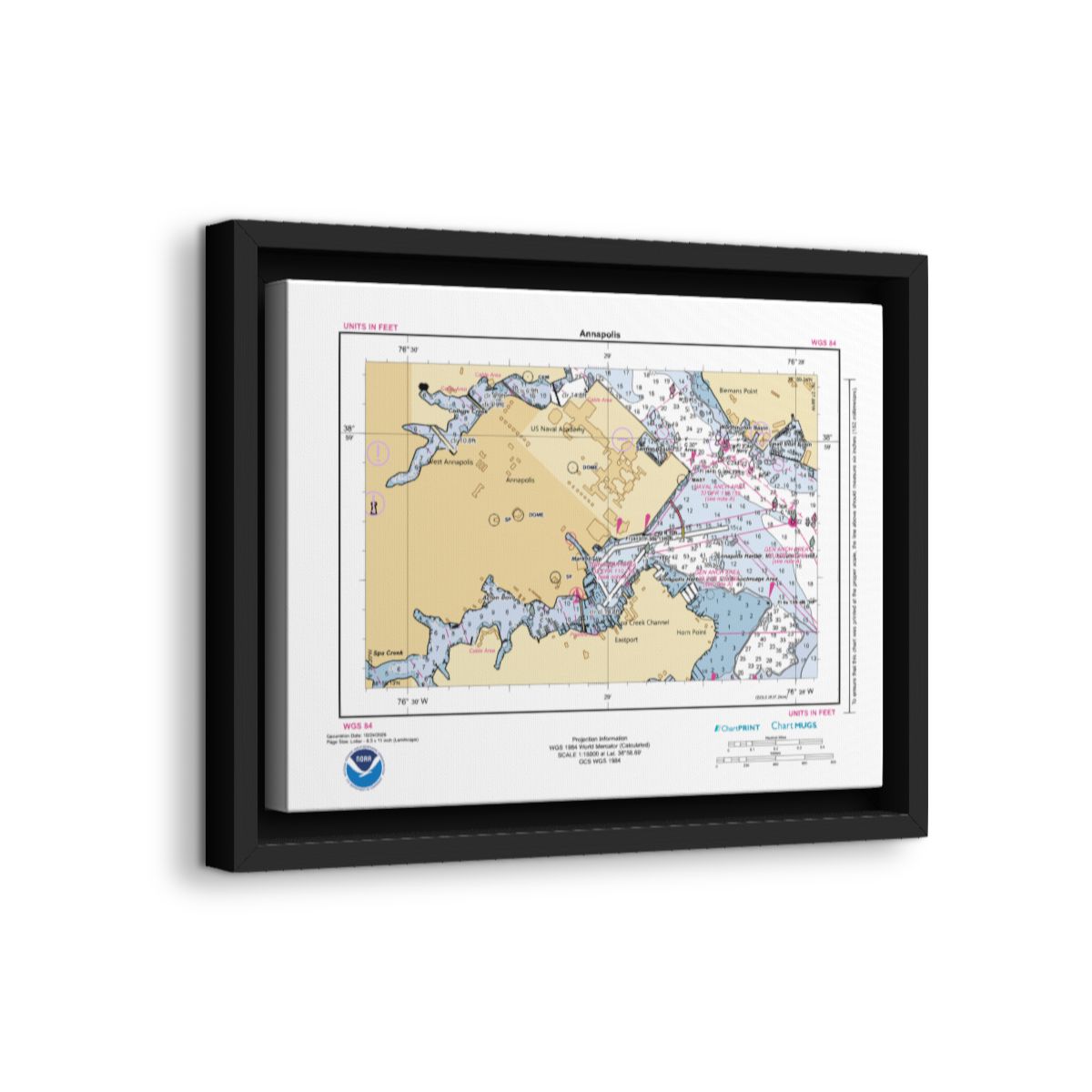 Canvas Framed Custom Chart of Annapolis - NOAA Nautical Chart 11" x 8.5"
