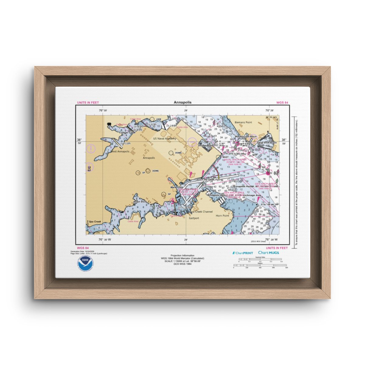 Floating Frame Canvas