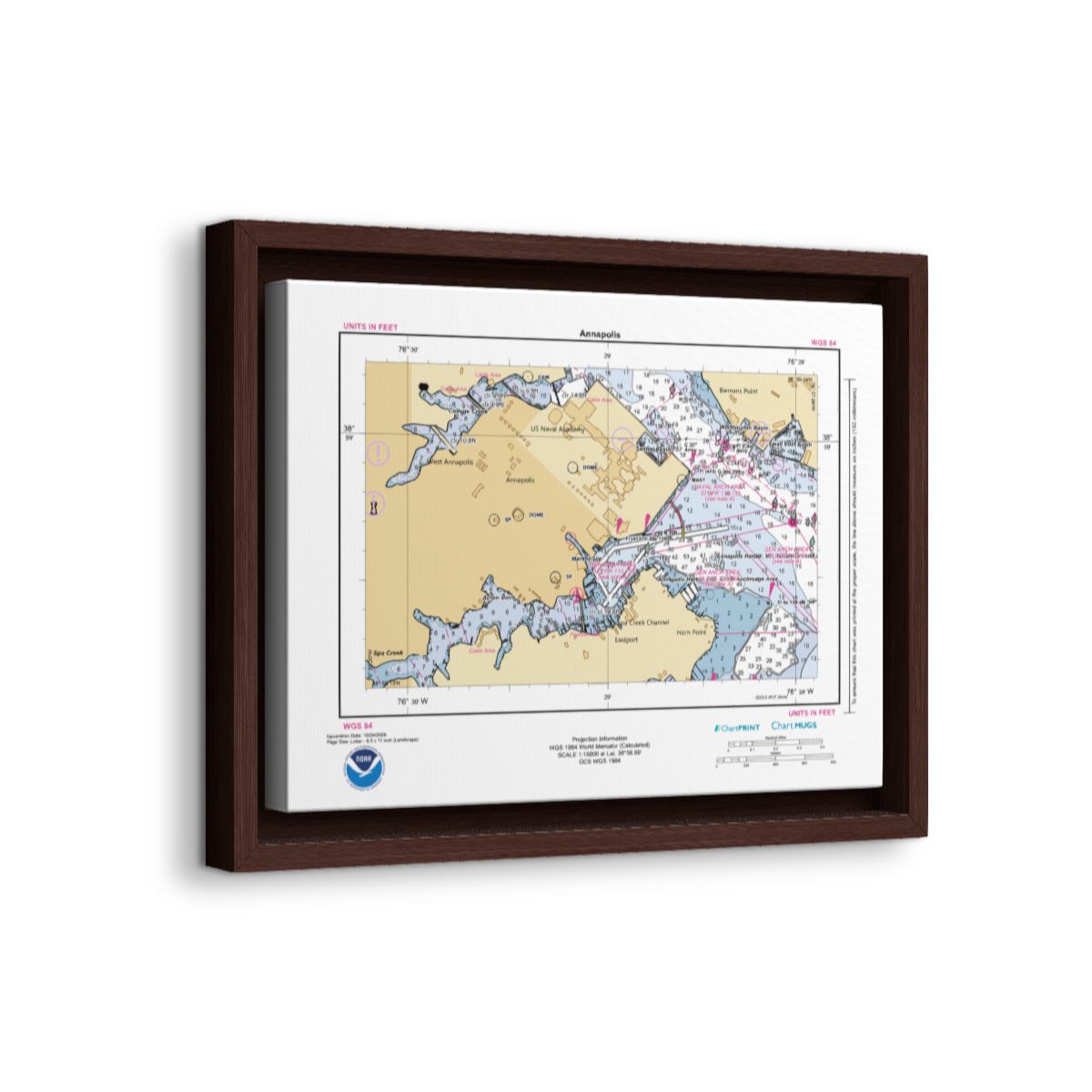 Canvas Framed Custom Chart of Annapolis - NOAA Nautical Chart 11" x 8.5"