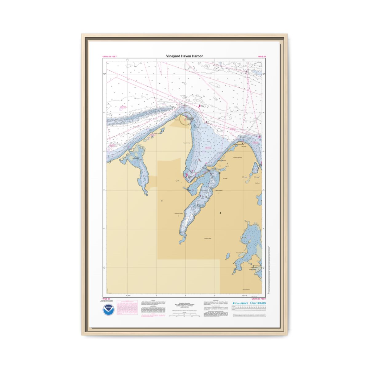 Floating Frame Canvas
