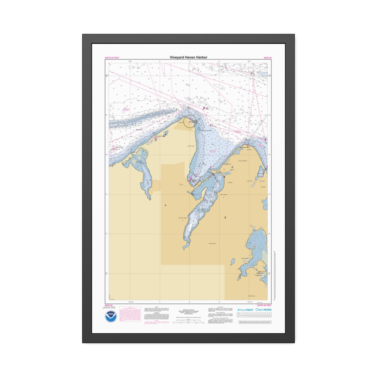 Framed Paper Print